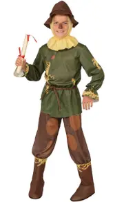 Licensed Wizard Of Oz Scarecrow Boys Book Week Costume
