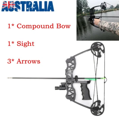 40lbs Mini Compound Bow Set 16" Right Left Hand Sight Archery Fishing Hunting