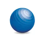 Exercise Gym Ball Blue Anti Slip Texture Balance Strength 65cm