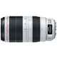 Canon EF 100-400mm f/4.5-5.6L IS II USM 大白II《平輸》