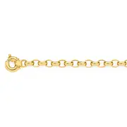 9ct Gold 21cm Solid Oval Belcher Bolt Ring Bracelet