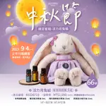 現貨 多特瑞 中秋節限定套組 活力月兔組 （新瑞活力+陽光香橙+樂活+多特瑞精油兔）