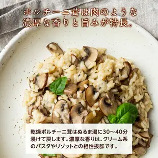 牛肝菌菇 100ｇ |高級蘑菇 牛肝菌 乾燥牛肝菌 乾牛肝菌 義大利麵 燉飯 日本必買 | 日本樂天熱銷