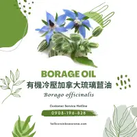 在飛比找蝦皮購物優惠-6011，Borage Oil，有機冷壓加拿大琉璃苣油