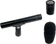 Peakloong -60C Professional Diaphragm Condenser Microphone Supercardioid Mic withCardioid Microphone Head Pickup Microphone