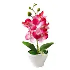 1pc Artificial Flower Orchid Flowers Artificial Hight Quality Colorful