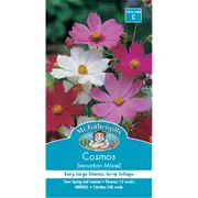 Mr Fothergill's Sensation Cosmea Flower Seeds