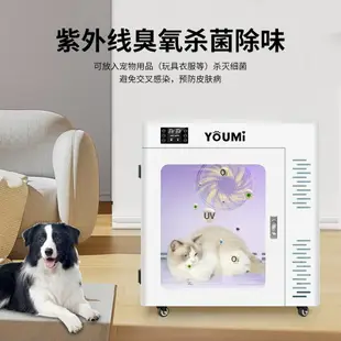 【台灣公司可開發票】YOUMI悠米寵物烘干箱家用吹水機吹風箱貓咪狗狗烘干機中型犬家用