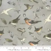 Botanicals 16910-12 Moda Fabrics Birds In Nature Vintage Grey Janet Clare