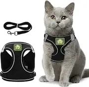 Cat Collars Harnesses and Lead Set Kitten Walking Escape Proof Adjustable Lead Vest for Ferret Puppy Rabbit,Kitten Lead and Harness Set with Reflective Strip Breathable Soft Mesh Cat Jacket (XS)