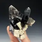 Smoky Quartz, 5th Regiment Claim, Lake George, Teller County, Colorado, USA