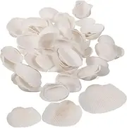 MERRYHAPY 1 Seashell Decoration Shells Decorations Wedding Decor Craft Ornaments Craft Material Crafts Seashell Decor Handicraft Accessory Home Decor Shell Decor White