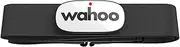 Wahoo ELEMNT ROAM GPS Fahrradcomputer