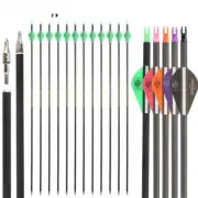 32 Inches Pure Carbon Arrow 6/12pcs ID 6.2mm Recuvre Compound Bow Archery 30"