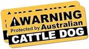 2X Warning Cattle Dog Sticker