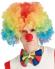 Rainbow Afro Curl Clown Wig