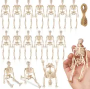 16 Pcs Halloween Mini Skeleton Figurine Decoration,6�Halloween posable Skeleton