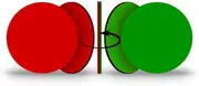 25-Pack, Double-Sided Reg Green Flip Magnet - 1" Red/Green, Go - No Go, Reversible Indicator for Efficient Organizational Communication, Ideal Indicator for Steel Surfaces