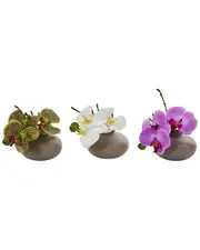 Nearly Natural Set of 3 Phalaenopsis Orchid Artificial Arrangements