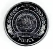 GEORGIA GA DULUTH POLICE SUBDUED SWAT STYLE NICE SHOULDER PATCH SHERIFF