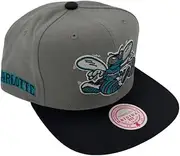 Mitchell & Ness Charlotte Hornets NBA Storm Front HWC Snapback Hat Cap Gray/Black