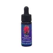 Fes Flower Essences FES Quintessentials Indian Paintbrush 7.5ml