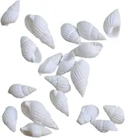 SEWACC Set of 100 Mini Sea Shell Conches for DIY Wedding Decor Seashell Craft Aquarium Sand Garden Decor