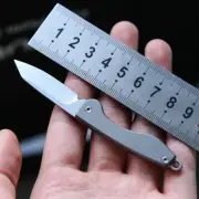 Mini Titanium Pocket Folding Knife Keychain Blade Knife Outdoor Camping EDC