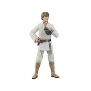 Star Wars: A New Hope - Luke Skywalker Black Series Action Figure