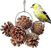 Kezvmhy Natural Parrot Chewing Toy, Pine Cone Parrot Chew Toy - Natural Nut Chew Birds Toy, Cage Bird Toy, Small and Medium Macaw Safely Fun
