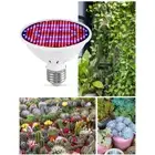 300LED Hydroponic Growth Light Led Grow Bulb MR16 Full Spectrum 220V UV Lamp. Ni