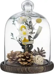 Tabletop Clear Glass Cloche Bell Jar Display Case w/ Brown Wood Base, Bell Jar