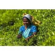 Save 15.00%! 5 Days Bangladesh Tour - Dhaka - Sonargaon - Srimangal