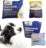Dog Scent Training Kit - Anise Scent Zipper Pouch with Bag & Brain Puzzle Games