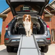 PetSafe® Happy Ride™ Deluxe Telescoping Ramp PTV17-16898