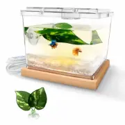 Mini Betta Fish Tank Kit with LED Light Base, Small Fish Bowl for Temporary S...