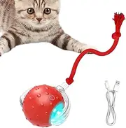 Interactive Cat Ball with String, Electric Chirping Cat Toys Ball for Indoor Cats, Motion Activate Automatic Rolling Pet Toy Ball with USB Charging