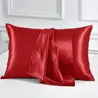 THXSILK 100% Natural Mulberry Silk Pillowcase for Hair and Skin Luxury 6A Gra...