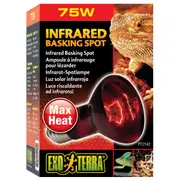 Exo Terra Heat Glo Infrared Heat Lamp - 75 Watt Red