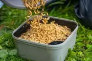 Guru Maggot Riddle / Coarse Fishing