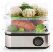 500W Multi Purpose Steamer