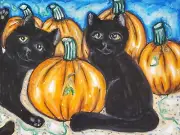ORIGINAL KSAMS HALLOWEEN Cats 9x12 BLACK Cat Art Pastel Painting Pumpkin Patch