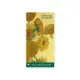 National Gallery: Van Gogh, Sunflowers 2025 Year Planner - Month to View