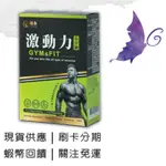 日喬恩CIAO B2B 激動力GYM&FIT瓜拿納膠囊 瓜拿納萃取 單寧酸 天然酵素 胺基酸 運動重訓 活力有氧跑步