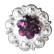 17HS Set Of 16 Western Screw Back Concho Crystal Amethyst Berry Saddle Bling