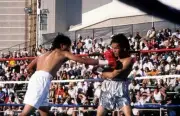Michael Carbajal Boxer US Olympic & Flyweight World Champion OLD BOXING PHOTO 8