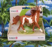 NEW Schleich PINTO Horse NEW IN BOX Special Edition Hard To Find