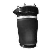 Air Suspension Spring Unity 15-125001 fits 00-06 BMW X5 (for: BMW)