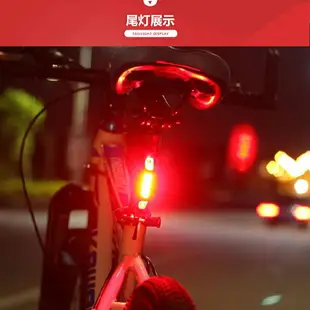公路山地自行車爆閃坐墊燈 后尾燈 警示青蛙燈線管燈騎行戶外裝備