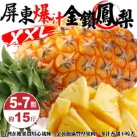 在飛比找ETMall東森購物網優惠-果農直配-屏東爆汁XXL金鑽鳳梨(5-7顆_15斤/箱)